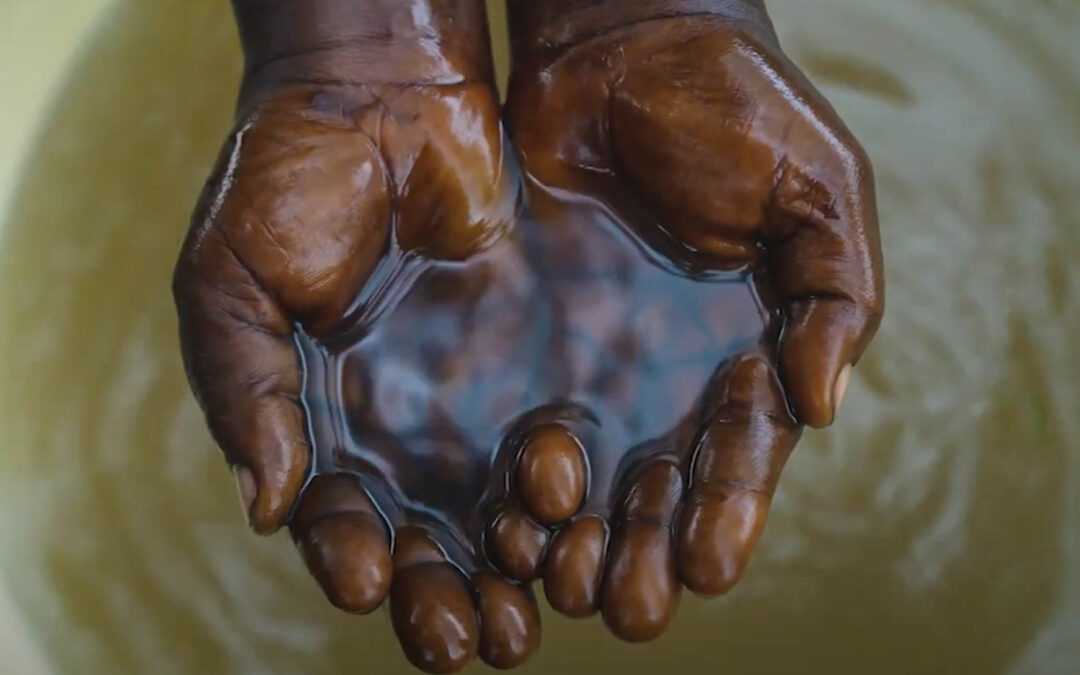 Contaminated Water in Nigeria