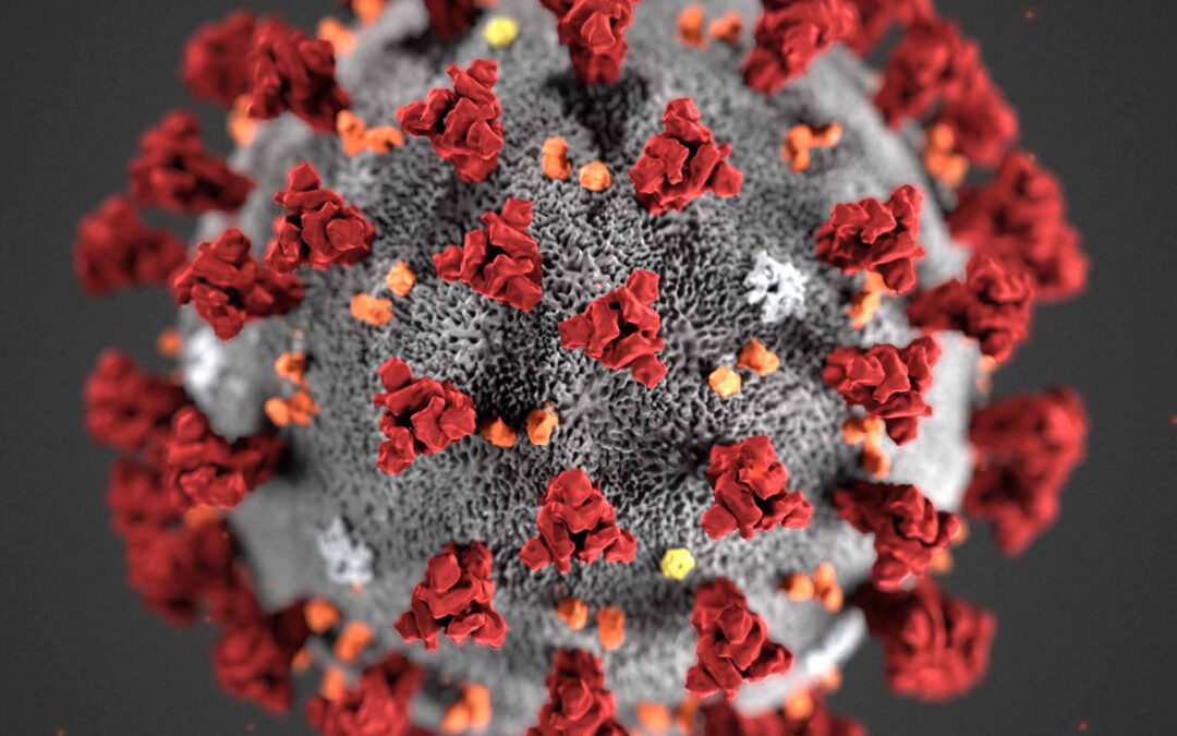 You Are Battling the Coronavirus Crisis