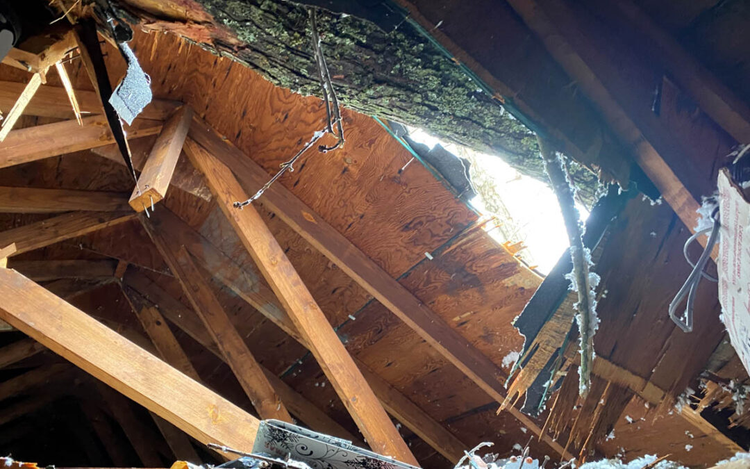 Relief for Heartbroken December Tornado Victims