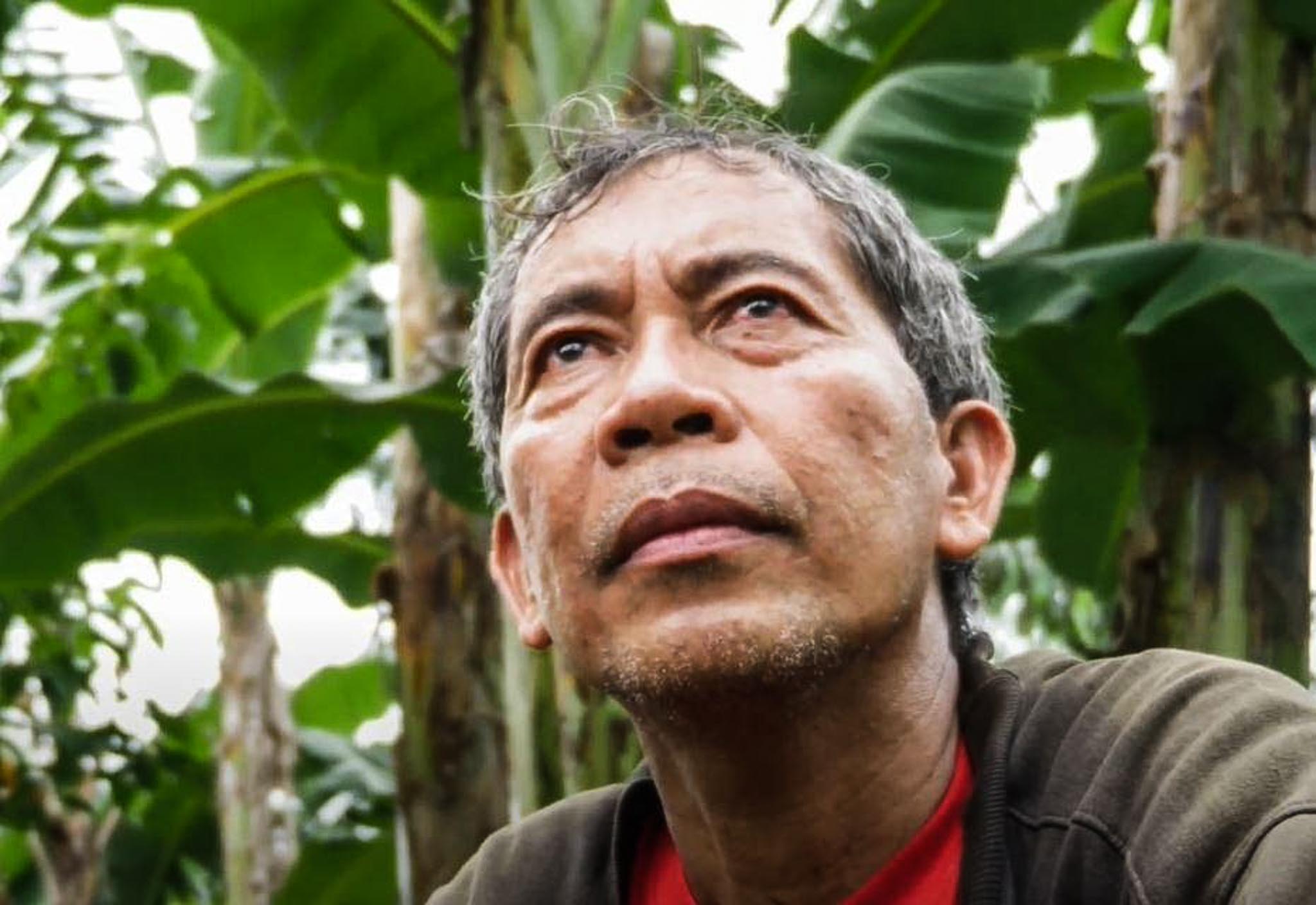 destruction typhoon in philippines