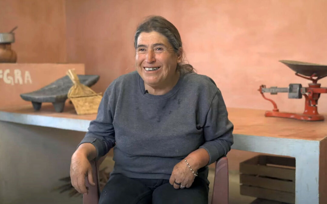 Groceries and A Garden For Cristina