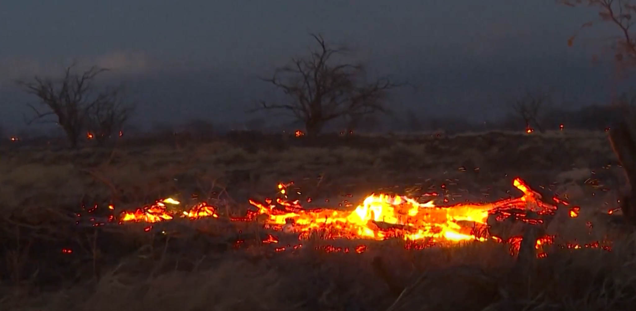 hawaii wildfire relief
