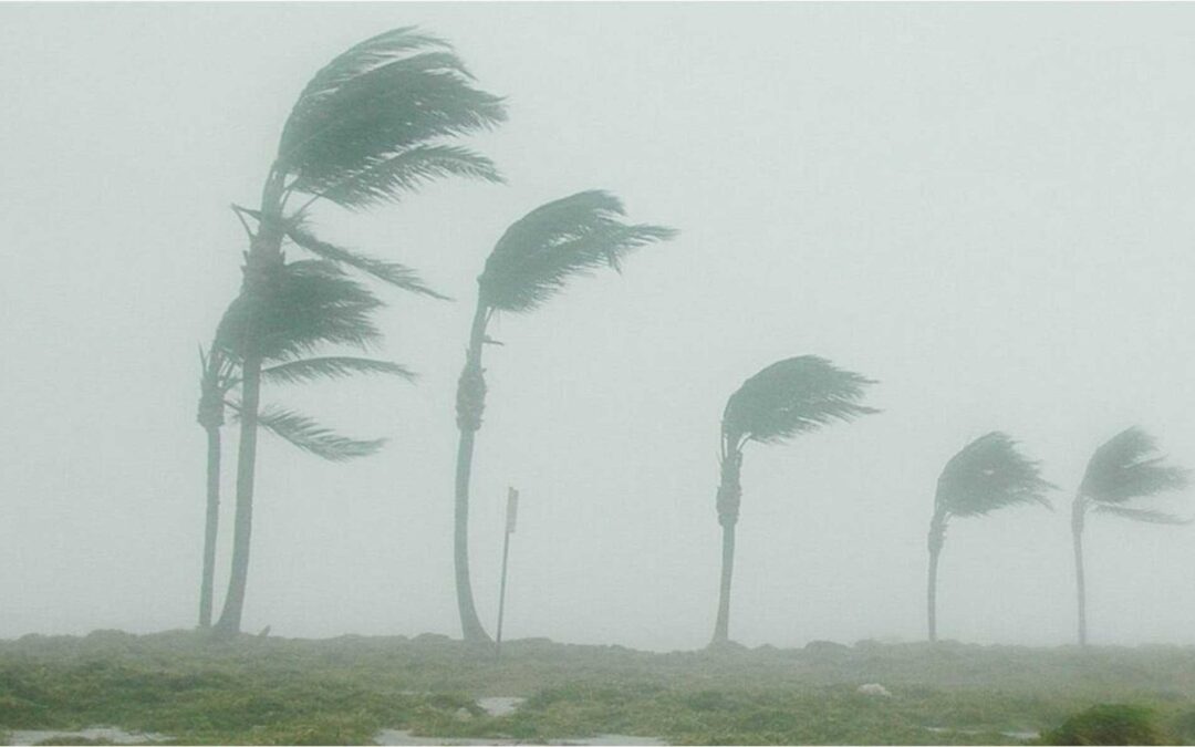 Relief from Hurricane Idalia