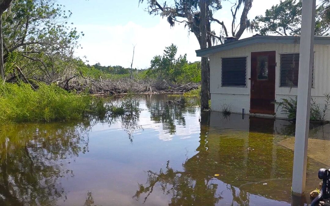 Hurricane Idalia Support