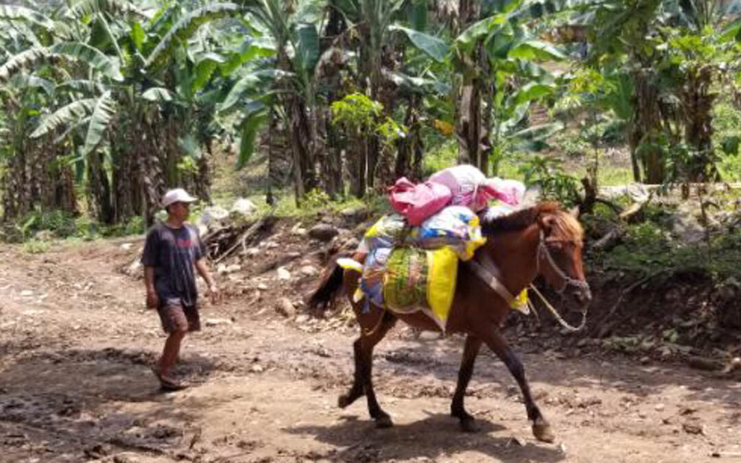 Overcoming Challenges to Provide Medical Care in the Philippines 