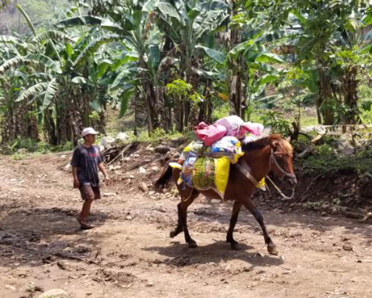 medical-care-in-the-philippines