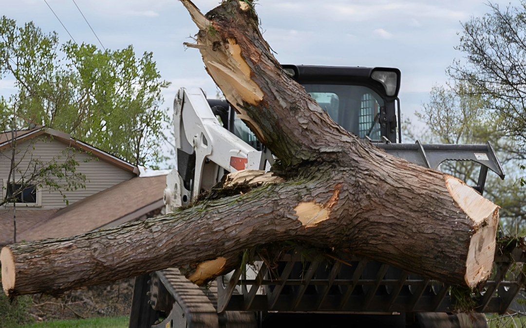 Nebraska Tornadoes: The Road to Recovery