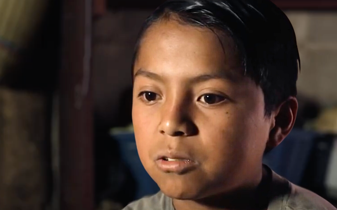  Overcoming Food Scarcity with a Chicken Business