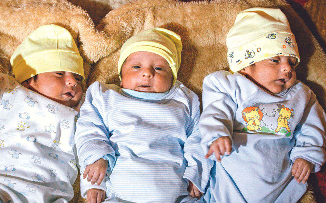 Celebrating New Life in the New Year