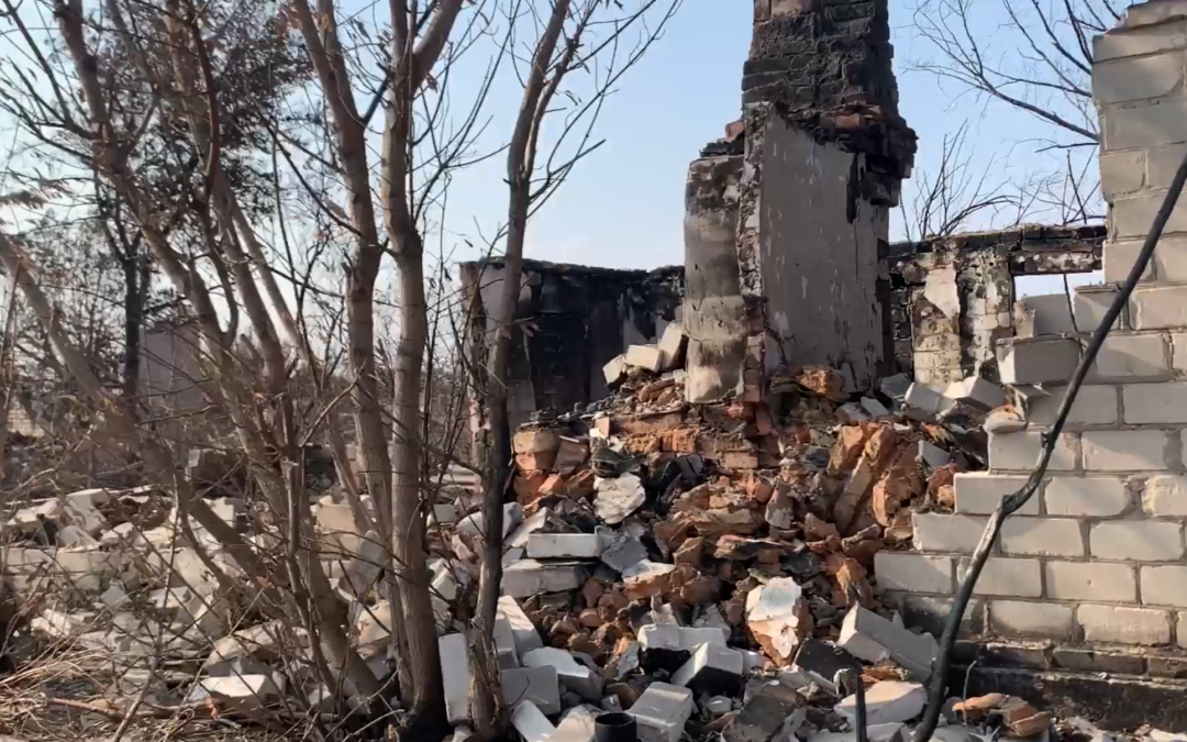 Aid for Victims of Forest Fires in Ukraine