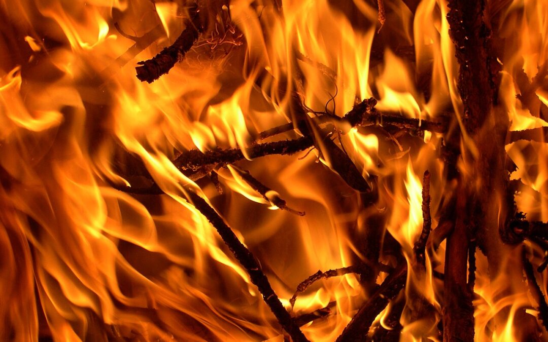 Sending Aid to Texas Wildfire Survivors