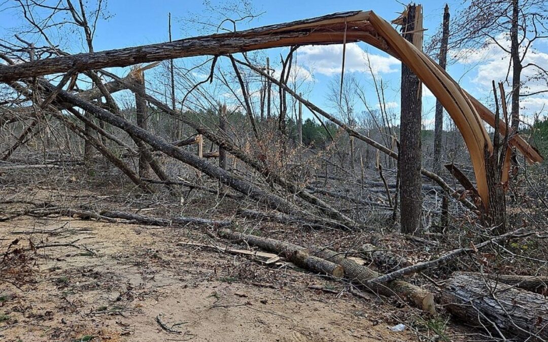 Before the Storm Strikes: Essential Tornado Safety Tips from Operation Blessing