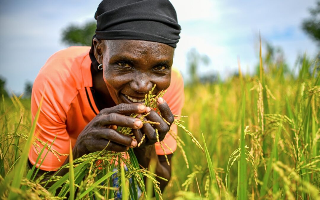 Blessing Others Through the Gombi Farming Project in Nigeria
