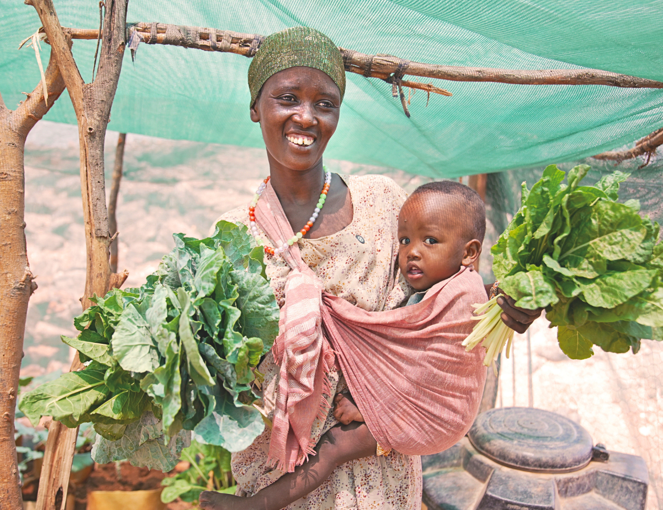 Kenya sack gardening Kenya sack gardening